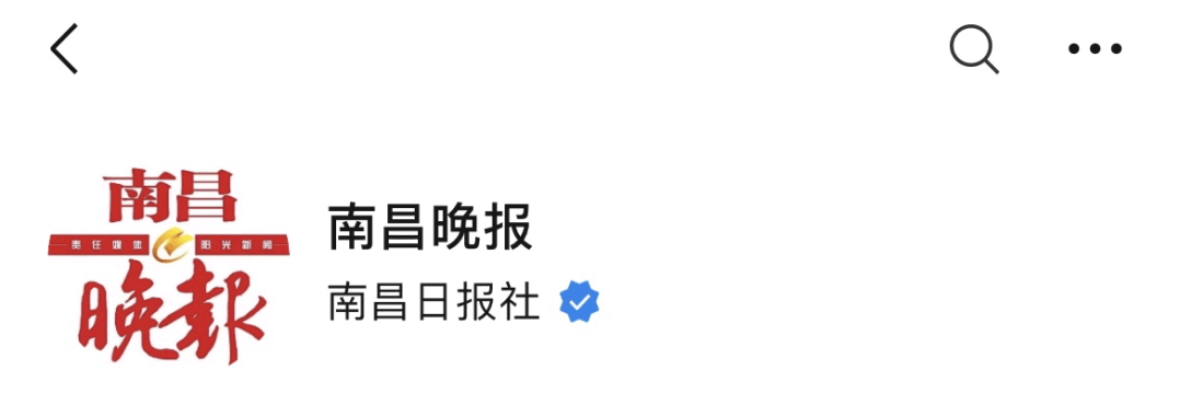 上百头伪虎鲸在澳大利亚一海滩大规模搁浅