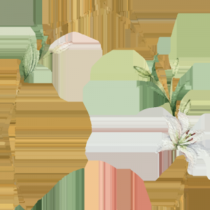 澳洲降息=房价租金双暴涨!墨尔本财富增值好机会来了,别再做房东的打工人