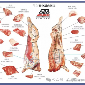 继续涨价,澳洲羊肉出口量创历史新高