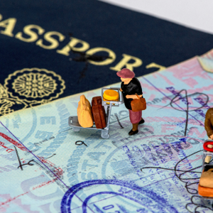 澳洲签证动态概览:趋势、数据与专业分析