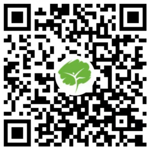 植物科普 I 澳洲鸭脚木【2203期】