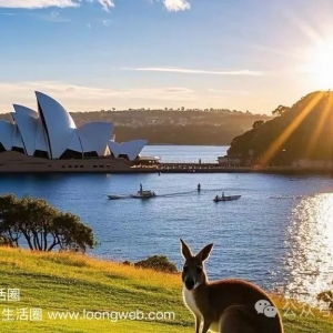澳洲买房避坑指南:首付比例、印花税减免与区域选择
