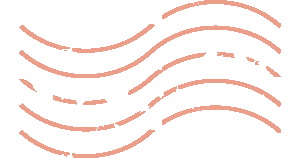 澳大利亚&新西兰  超全出行注意事项!