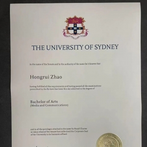 澳大利亚悉尼大学材料丢失补办