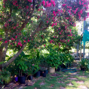 澳洲打工旅游第206天 绝美夜景