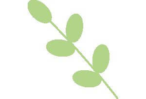 天呐!澳洲留学圈炸锅了!澳洲会计职业年计划落幕:华人留学生移民澳洲更难了......