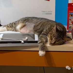 澳洲上大学这么轻松的吗?