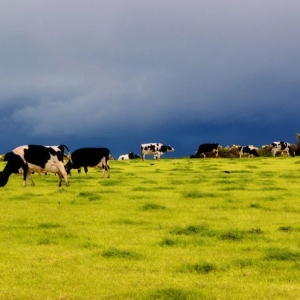 澳大利亚乡村治理的经验与启示