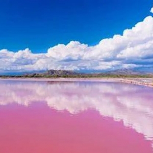 澳大利亚这座“粉色湖泊”,湖水全年粉红如梦,却少有人听说!
