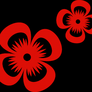 实高国际*录取丨澳洲offer汇总,启航南半球新征程!