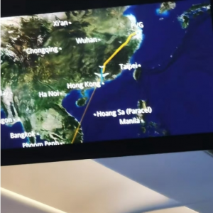 突发! 澳洲海关严查, 华人多年经验: 真诚才是必杀技