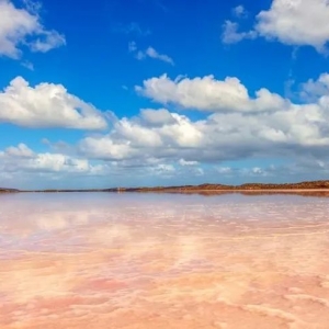 澳大利亚这片“粉红沙漠”,风景如外星球,被称为地球上最不真实的秘境!