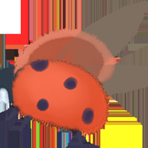 澳洲即将开放→无语言、年龄、学历要求,拿绿卡!