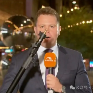 澳洲记者连线报导“犯罪率升高”!顺手展示专业设备遭当场偷走