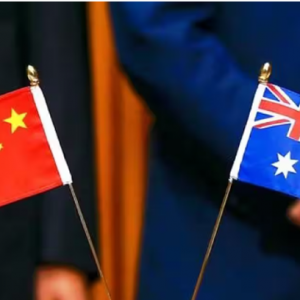 澳大利亚麦威集团继续深耕中国市场 深圳麦葳科技战略启航