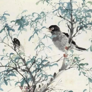 当一个36岁国企女员工被骗去澳大利亚生娃后身陷绝望