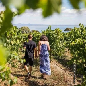 【澳洲移民】深度剖析澳洲父母移民签证,助力您实现家庭团聚的美好梦想