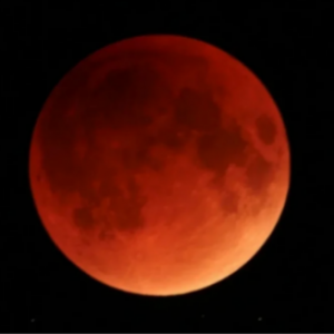 今晚澳洲准备好看“血月”!月全食最佳观看时间在这里!
