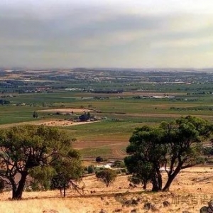 澳洲红五星顶级作品——帕库双园