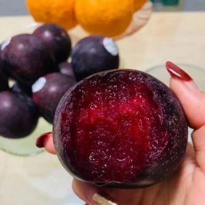 澳洲女王李秒杀价来了!香味浓郁,好吃到没朋友!