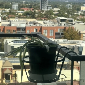 看看澳洲值不值得来?