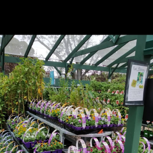 澳大利亚堪培拉国家植物园:大洋洲植物的集大成!