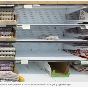 澳洲超市再现＂鸡蛋荒＂!Coles出限购规定