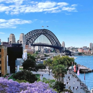 澳洲、新西兰留学热度飙升, 真相在这里!