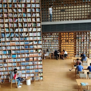 澳洲留学|女生学这4个专业,就业不用愁!