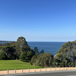 澳洲很美,澳洲很好,澳洲很贵.