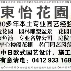 今天起,澳洲选民可以提前投票,这份攻略请收好