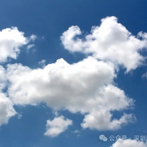 澳洲留学申请攻略:从预科到博士,一站式申请指南
