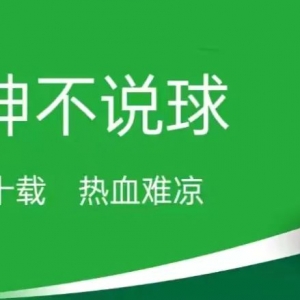 澳超季后赛首轮前瞻:西部联vs阿德莱德联,澳假怎么演,阿德莱德德联说了算