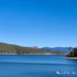 布里斯班去春溪公园、雷明顿公园(Springbrook 、Lamington National Park )徒步看溪水瀑布.