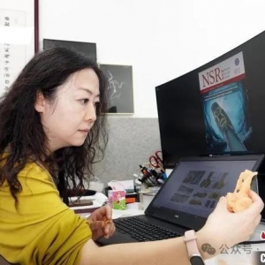 澳大利亚昆州发现4亿年前南方古椎鱼化石 ——中澳联合团队破解早期脊椎动物演化谜团