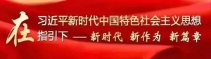 【创新突破 产业突围】澳大利亚火鸟金属有限公司来津考察