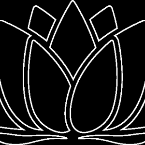 澳洲关于糖尿病血糖监测的信息