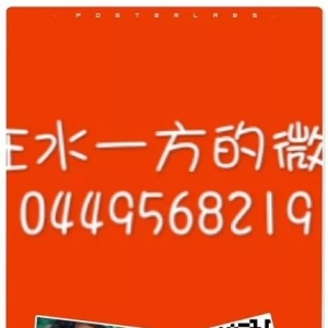 在水一方策划的婚礼/澳洲现代婚礼杂志
