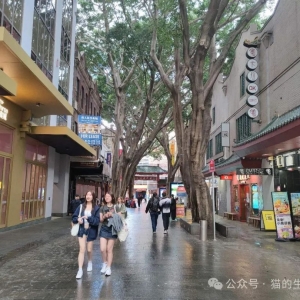 悉尼生活记录