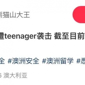 澳洲华人忍无可忍!青少年暴力不断,万人组建反袭联盟护权益!