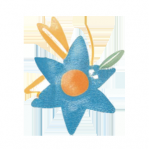 澳大利亚首家锂电池制造商陷入清算困境:Energy Renaissance的十年与转折