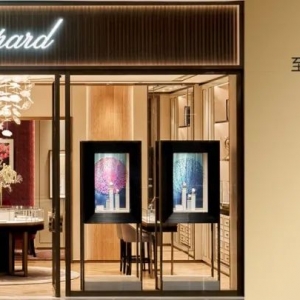 催泪!三位澳洲女性从无家可归,到拥有专属微型住宅!澳洲项目用5.5万资金和双手,改变她们的人生!实现真正自由与安全感...