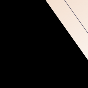 澳大利亚全国反移民抗议活动引发激烈冲突