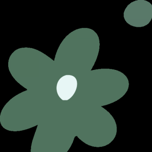 澳洲移民路径全攻略 | 解锁你的上岸方案