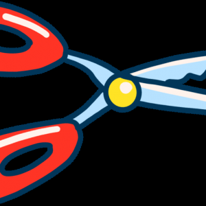 解读 | 我的澳洲牛肉怎么办?!