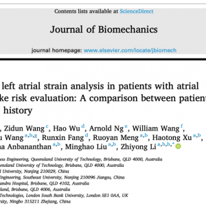 昆士兰理工大学联合团队首次发现:三维左心房后壁应变,可精准预测房颤患者卒中风险