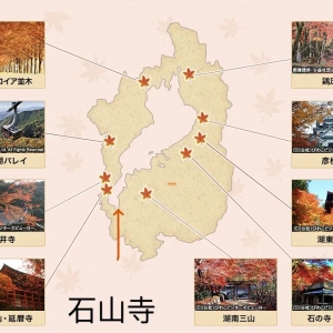 大串烧: 京都 布里斯班 墨西哥城 智利