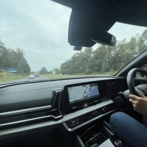 悉尼到布里斯班,小众景点探秘