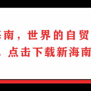 澳洲的活牛“打船的”来了!明起海南居民能买到更实惠更新鲜的进口牛肉