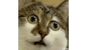 澳洲移民大放水?签证提速、名额激增,留澳黄金期真的来了!